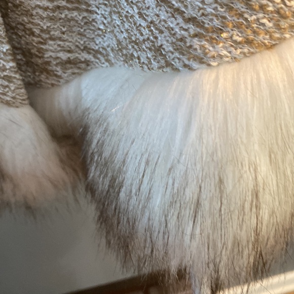 Poncho - Picture 3 of 4